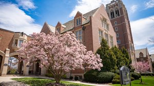 Saint Ignatius Hall Spring Magnolia