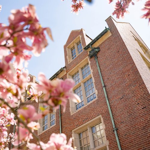 Campus Brick Facade Pink Magnolia Blossoms