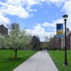 Campus Pathway Blossoming Trees Brick Buildings 2661