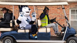 Lobo Blue Cart