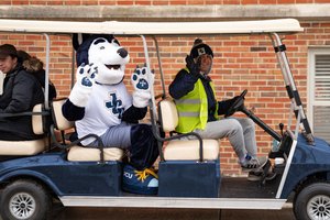 Lobo Blue Cart